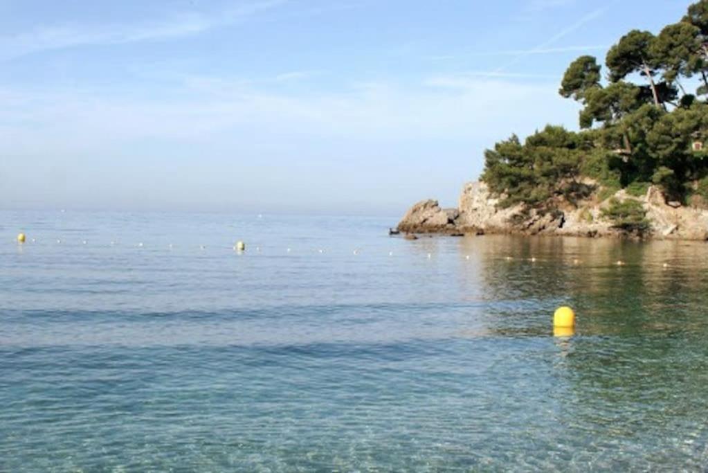 Maison de charme à 200 bord de mer, terrasse, jardin- Lesclesdenicole Le Pradet Esterno foto